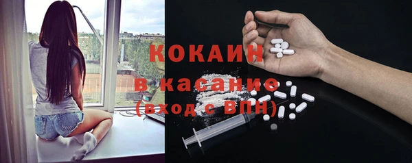 шишки Армянск