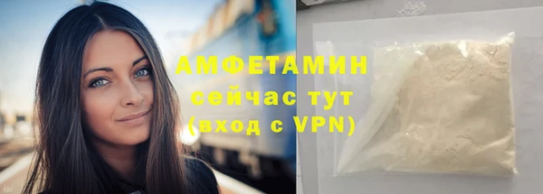 шишки Армянск