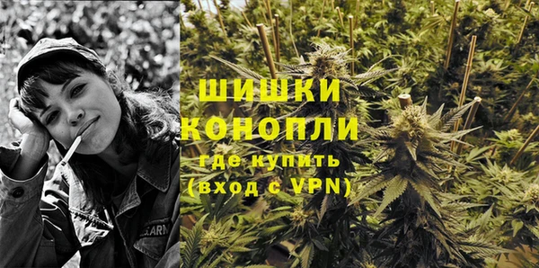 шишки Армянск
