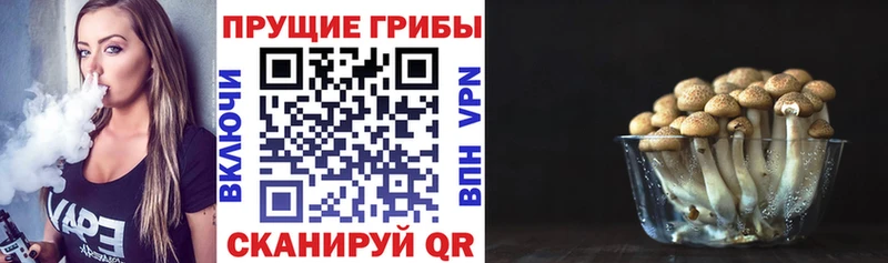 Псилоцибиновые грибы Magic Shrooms  Отрадный 